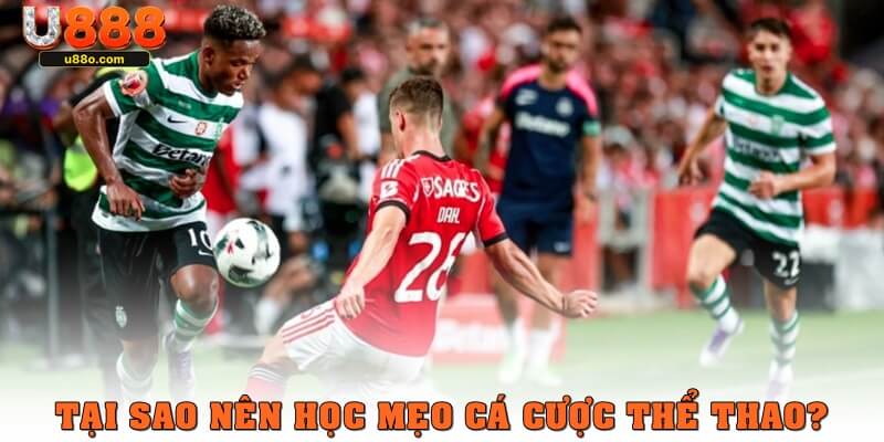 Tại sao nên học tập mẹo cá cược thể thao 